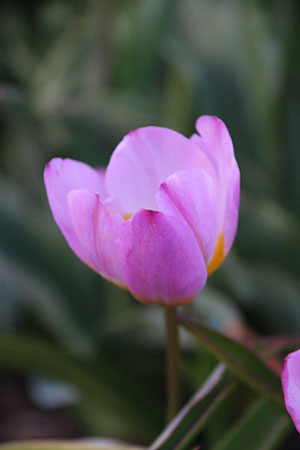 IMG_6570 IMG_6570