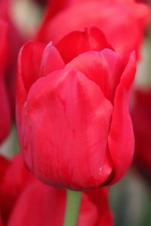 Ile de France Ile de France