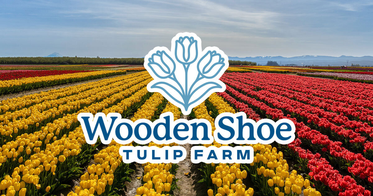 Tulips • Wooden Shoe Tulip Farm