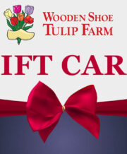 A visual representation of the virtual Wooden Shoe Gift Card with a large red bow